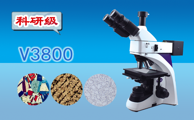 1736991908118602.png 金相顯微鏡.png